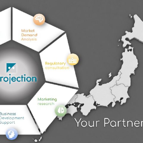 Japan Business Development Landscape 2023